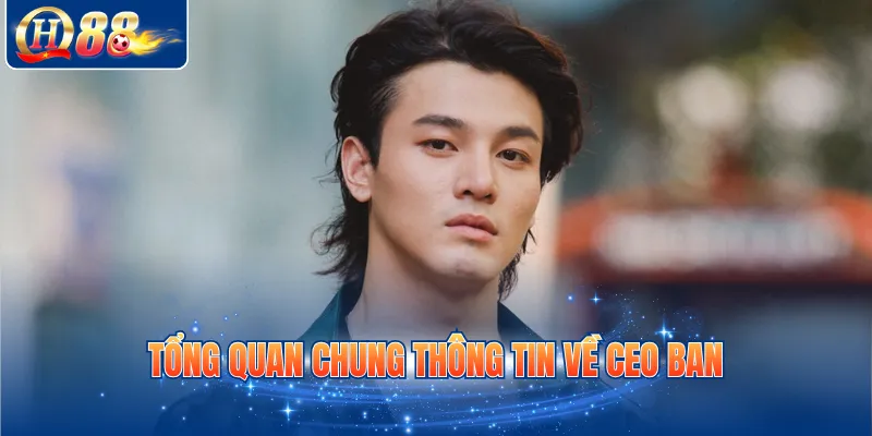 Tổng quan chung thông tin về CEO Ban